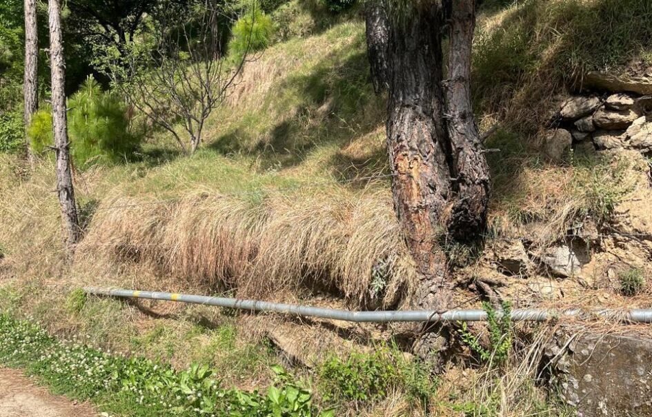 Land for Sale – 1 Bigha in Village Kyaral, Dharmapur, Himachal Pradesh