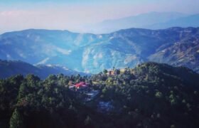 5 bigha for sale in mehli shimla himachal pradesh ﻿